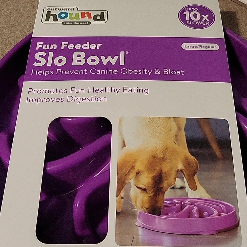 Slow Dog feeder bowl
